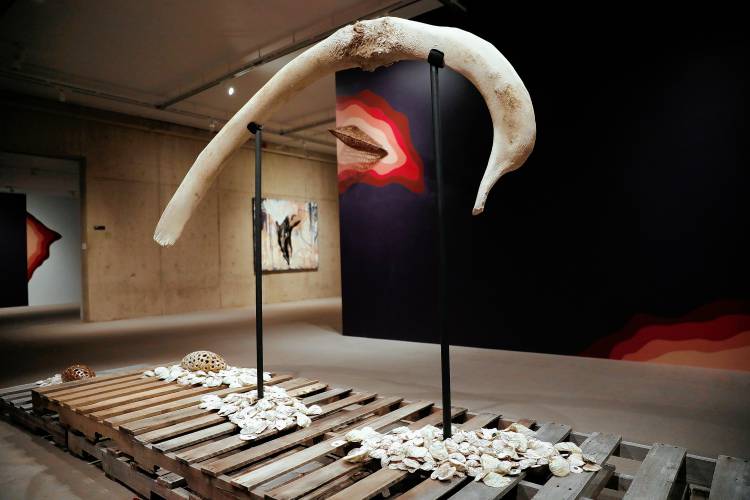 With the skeleton — or even just the head — of Staccato unable to fit in the art museum, a rib bone is displayed to represent the right whale for the exhibit “BREACH: Logbook 24 | Staccato.”