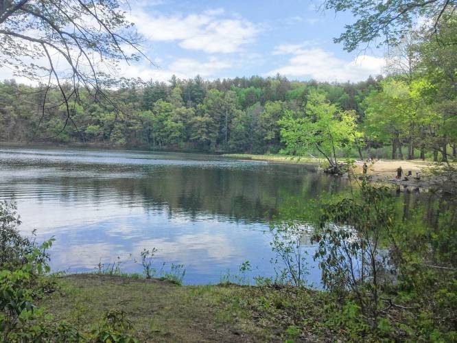 Amherst officials are considering improvements to Puffer’s Pond to deal with sediment buildup, an uptick in E. coli bacteria and erosion. 